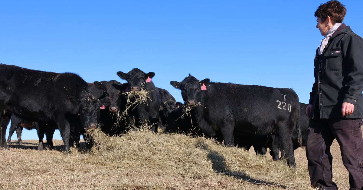 Nominations open for Missouri’s next Master Farmers