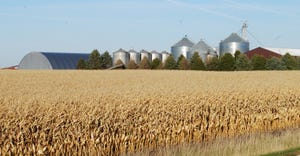 Cornfield with silos in the background