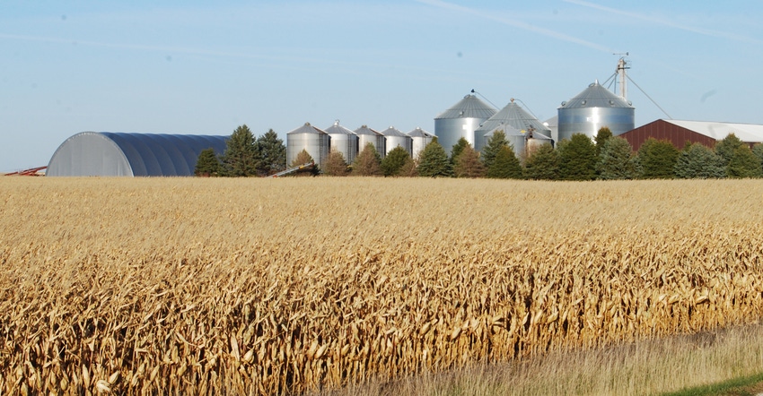 Cornfield with silos in the background Cornfield with silos in the background