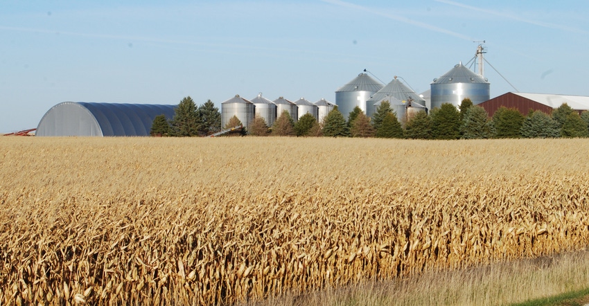 Cornfield with silos in the background