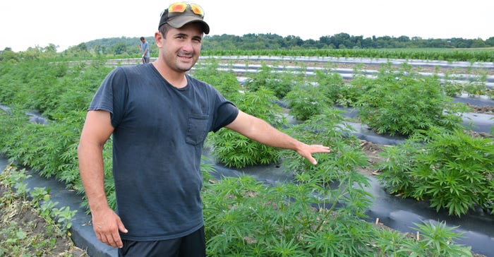 Bryan Harnish with his CBD hemp crop