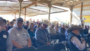 Attendees at K-State Stocker Field Day sitting under outdoor covered area