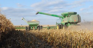 combine in cornfield at harvest