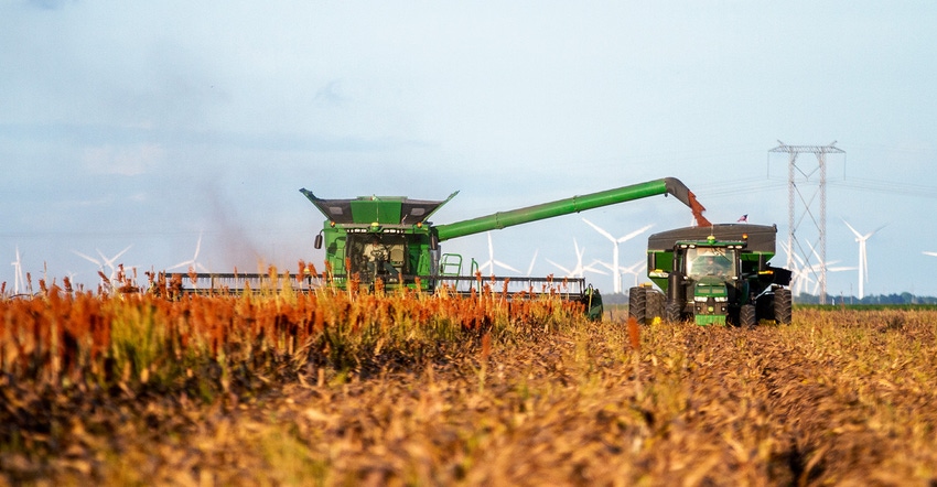 kelly-whatley-jon-sorghum-harvest.jpg kelly-whatley-jon-sorghum-harvest.jpg