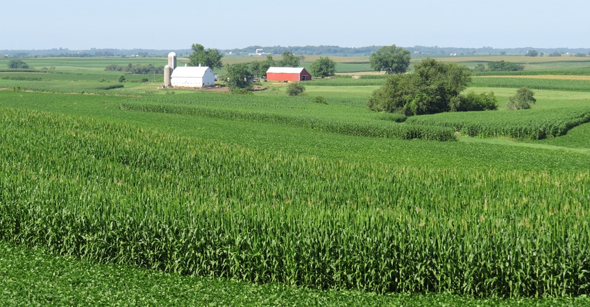 farmstead surround by fields of green corn