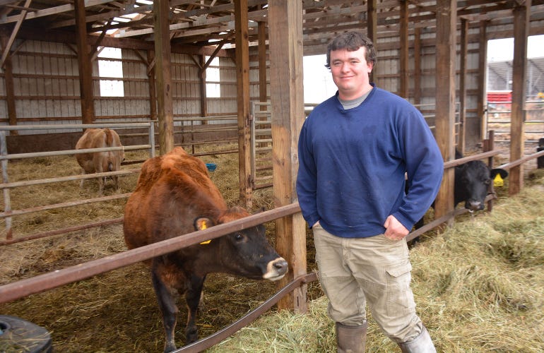Ryan Murray stands beside a cow in a barn at his organic dairy farm 