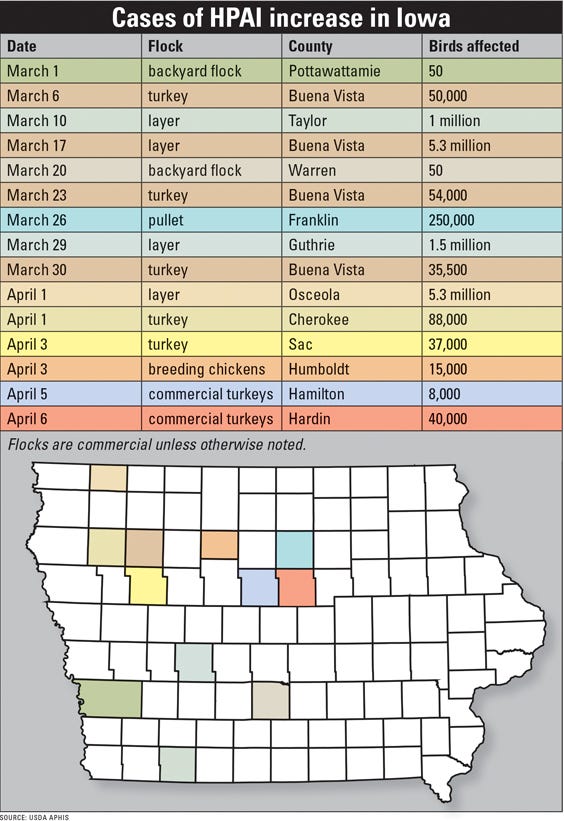 The 2022 HPAI outbreak numbers in Iowa infographic