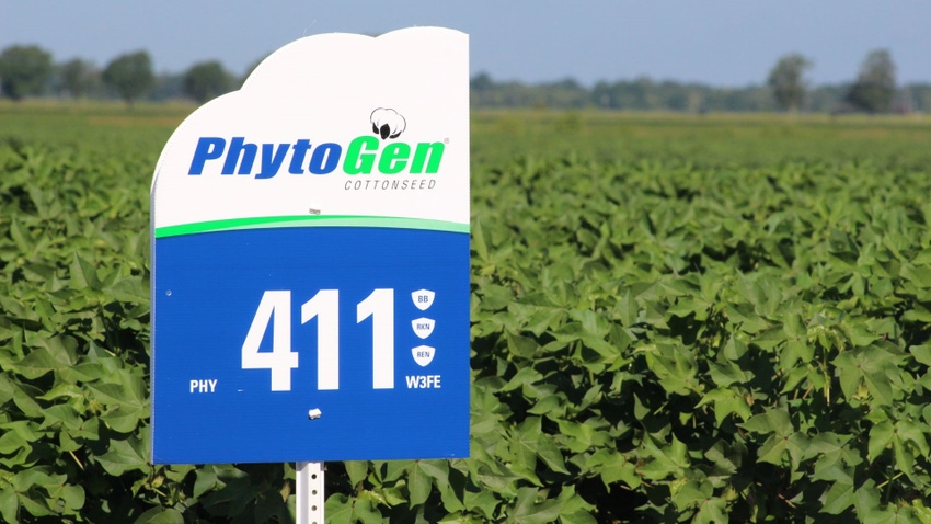 PhytoGen reigns as undisputed champ