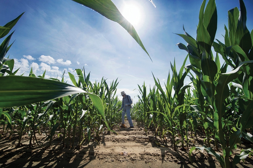 North_Farm_corn_research-USDA_agronomist_M4B5419.jpg