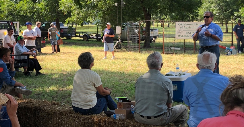 pecans2500.jpg