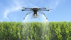 drone hovering over corn field