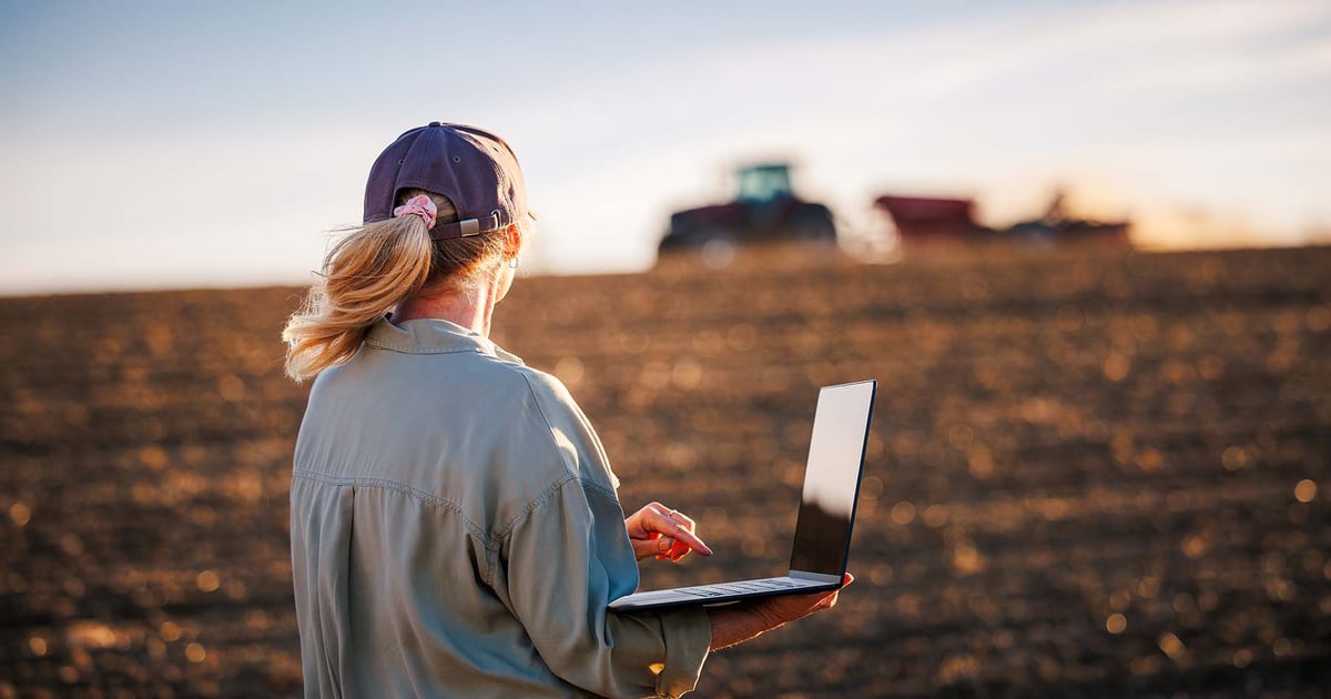 How to keep up with grain markets