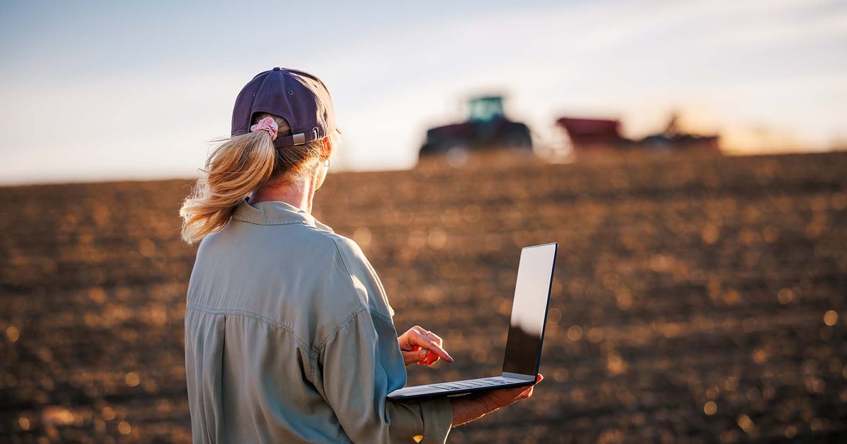 8 free market tools every farmer should check during planting