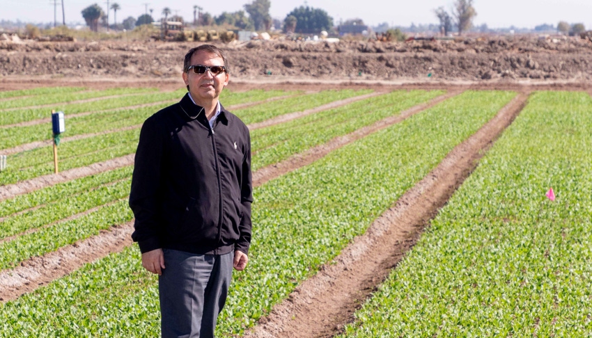 wfp-todd-fitchette-desert-spinach-research-11.jpg wfp-todd-fitchette-desert-spinach-research-11.jpg