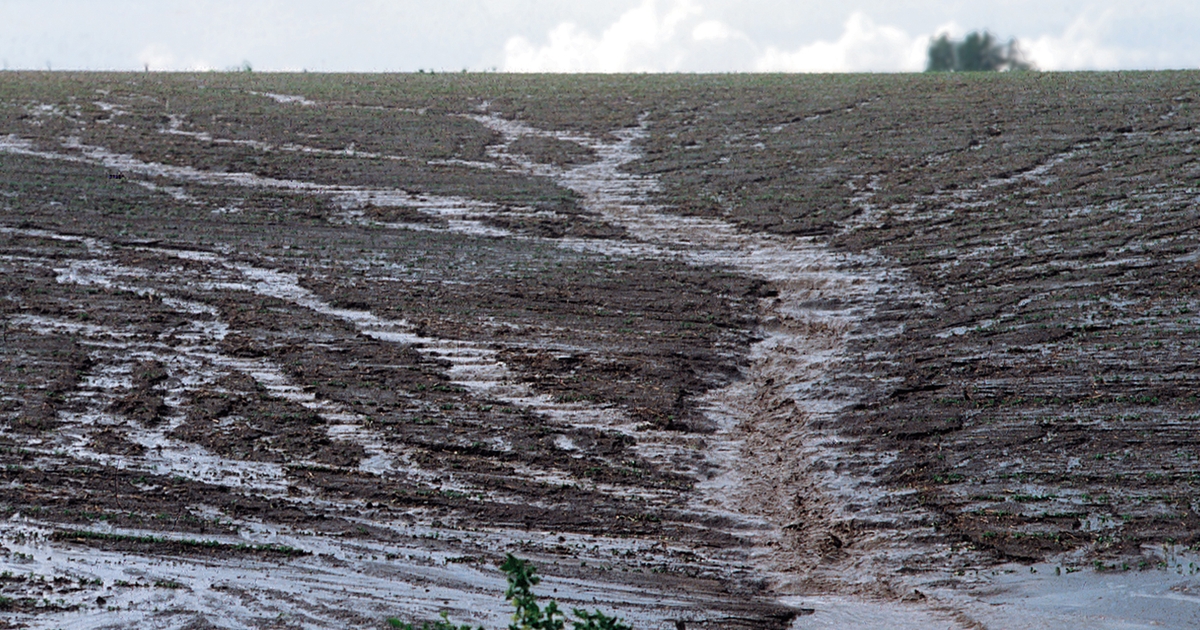 Gully erosion Fix it, don’t disk it