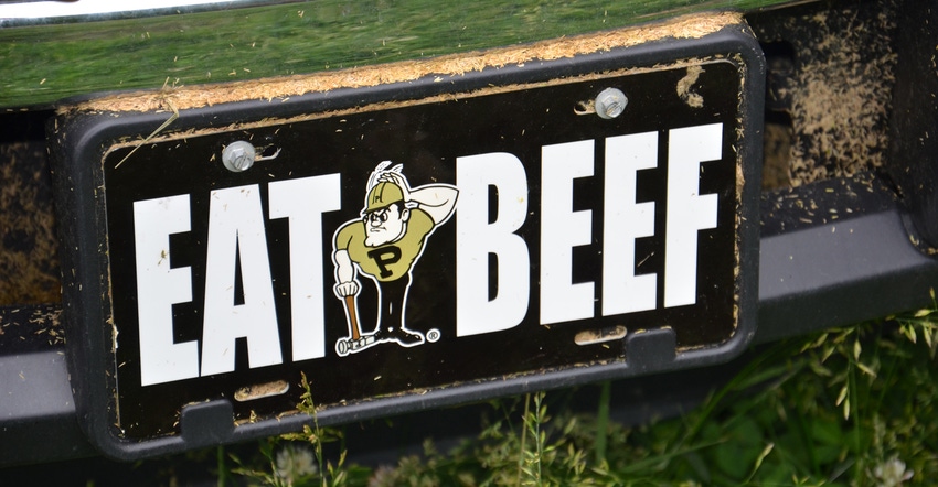 Eat Beef license plate