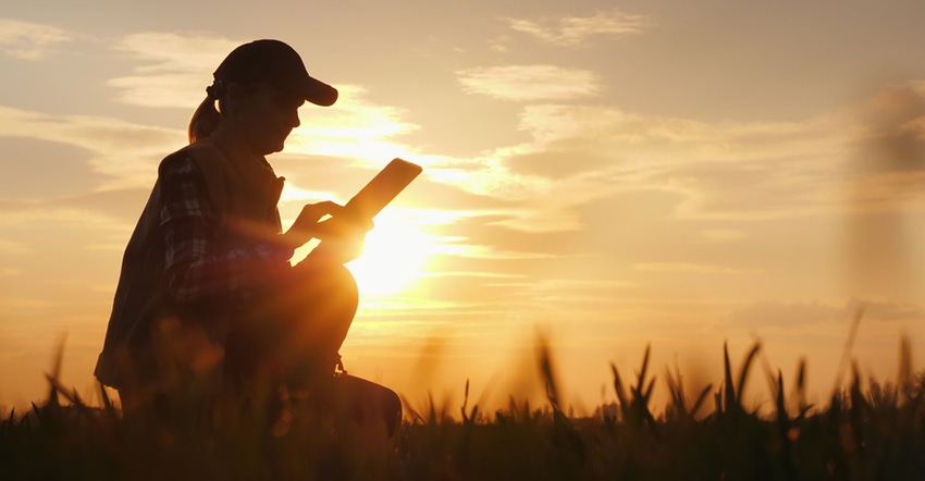  Silhouette of a farmer working with a digital tablet in the field at sunset