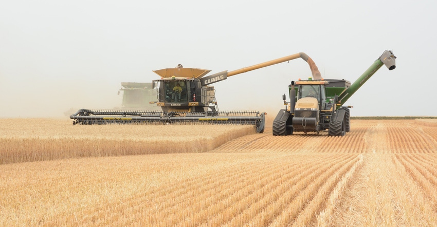 Combine in wheat field