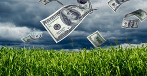 money falling into corn field