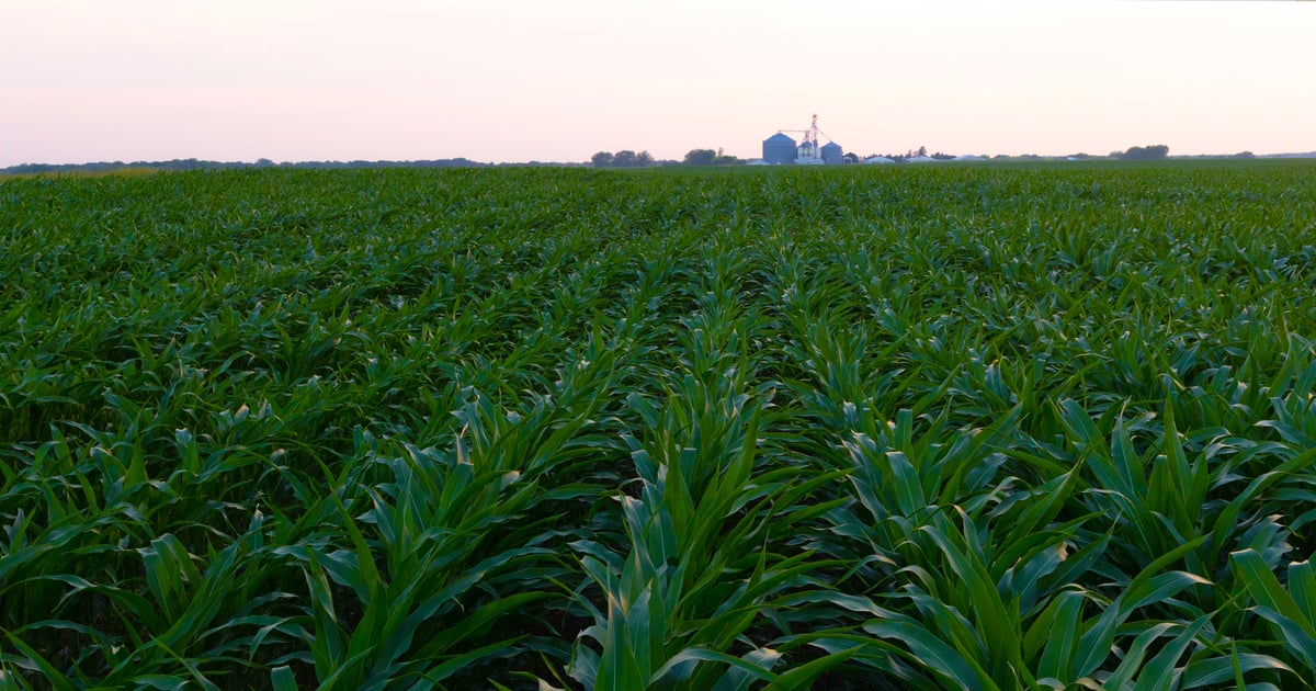 Here's the secret to steady farmland values