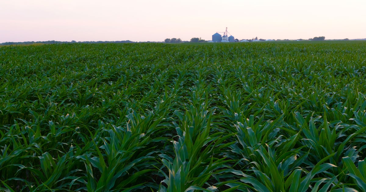 Here's the secret to steady farmland values