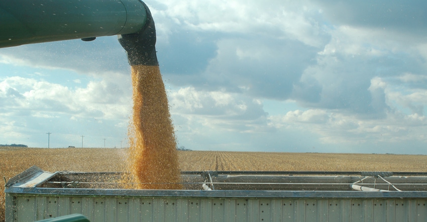 corn being loaded into grain cart