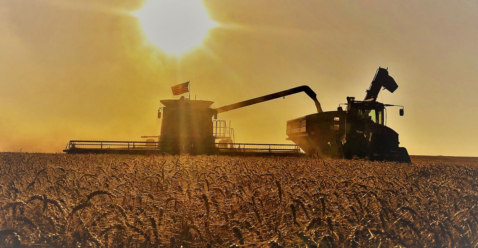 Manage wheat for 100bushelplus yields