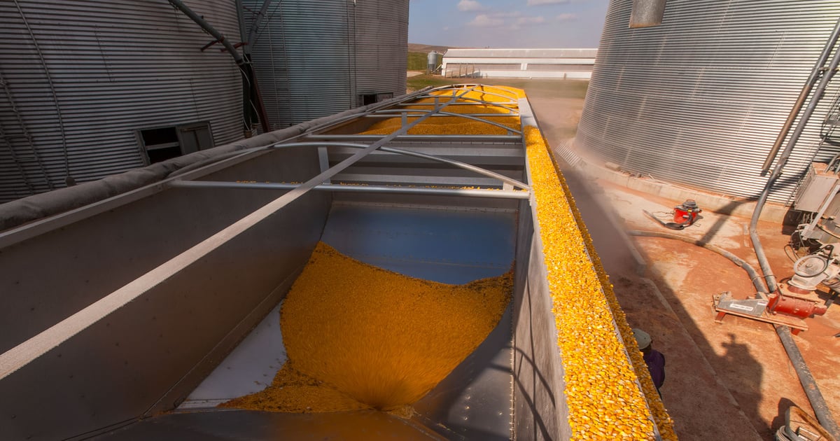 Why one storage plan won’t work for both corn and soybeans