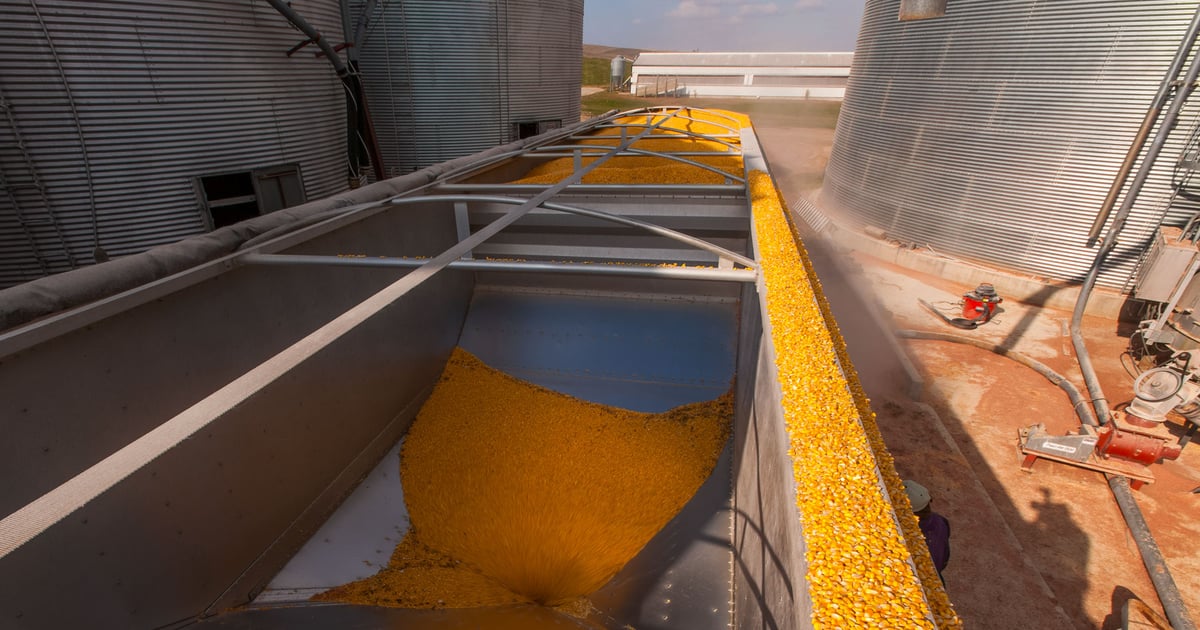 Why one storage plan won’t work for both corn and soybeans