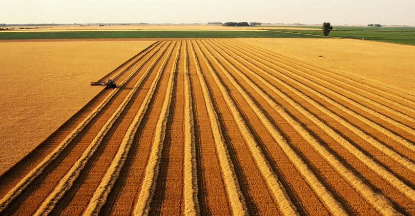 Tractor in wheat field Tractor in wheat field