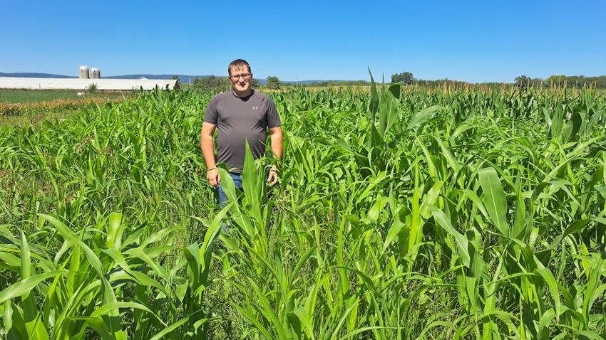 Craig Carncross in his late-planted cornfield