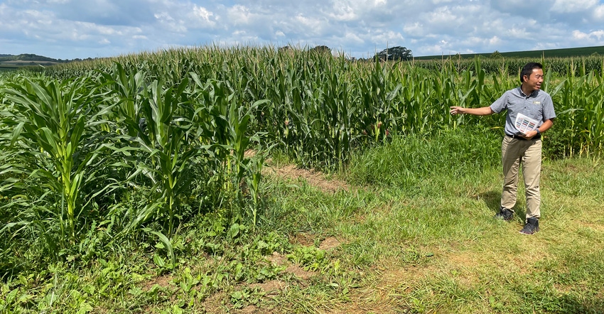 Yichao Rui standing in front of corn field