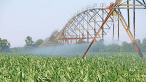 Center pivot irrigating a corn field.