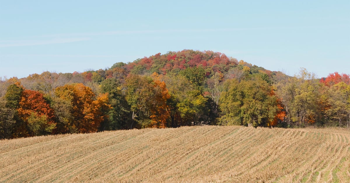 Missouri fall foliage timeline and viewing spots