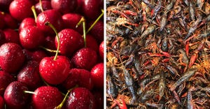 cherries-crayfish-052920.jpg