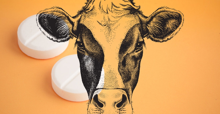 Montage of a cow illustration with two aspirin