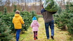 A man carrying a tree over his shoulder as he walks with his two children on a Christmas tree farm