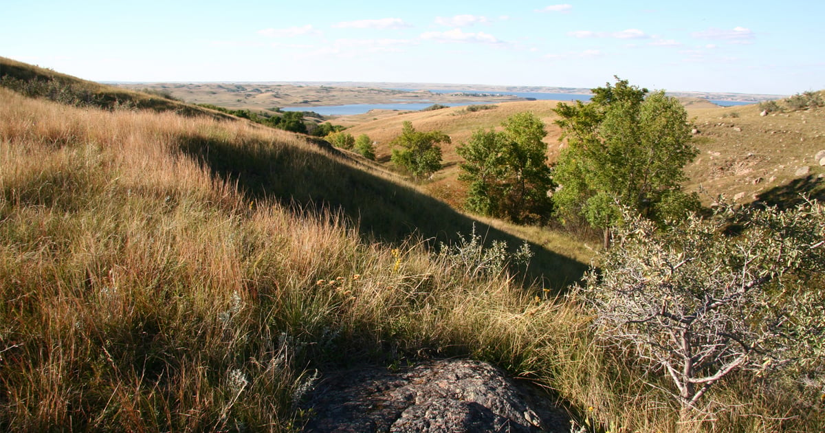 Adaptive management of rangelands allows for flexibility