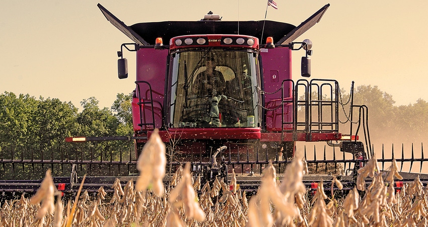 soybean-harvest-staff-dfp-5057.jpg soybean-harvest-staff-dfp-5057.jpg