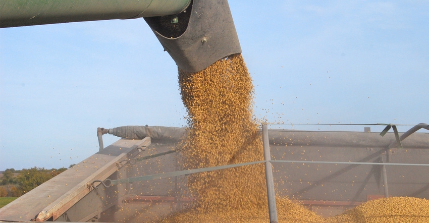 soybeans coming out of auger going into truck