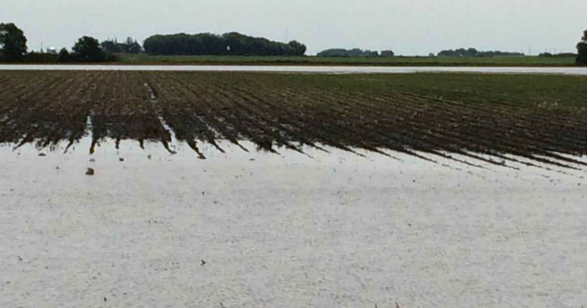 Farm Shock USDA reports a shock