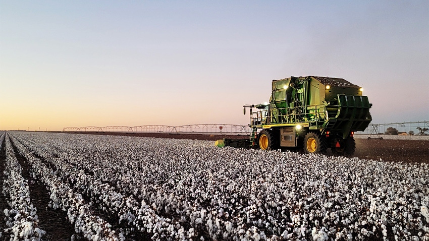 U.S. Cotton Trust Protocol Welcomes over 300 Members in Six Months - Trust  US Cotton Protocol