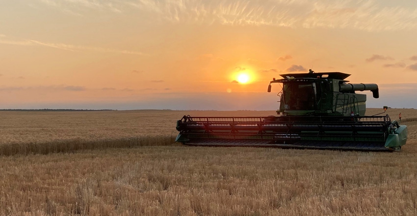 Wheat field and sunrise