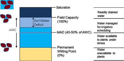 1.02 soil-water-reservoir.png