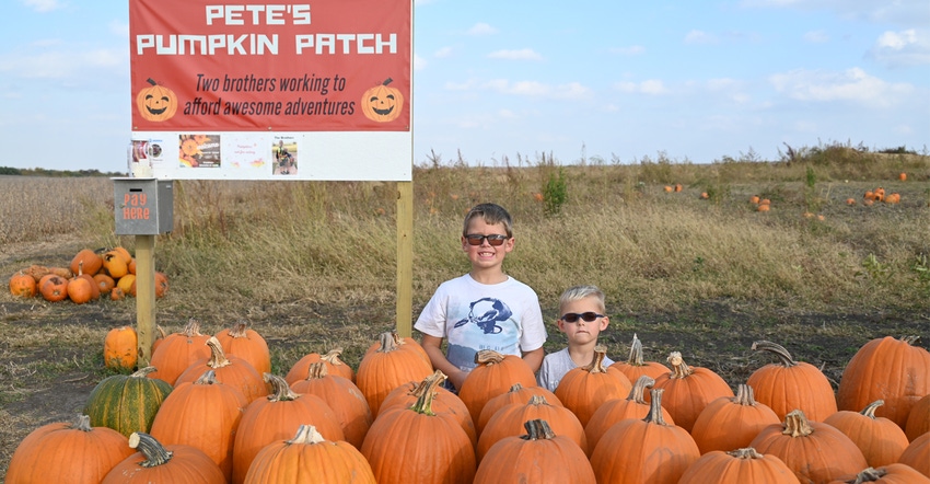 Pumpkins on Pete’s Pumpkin Patch 