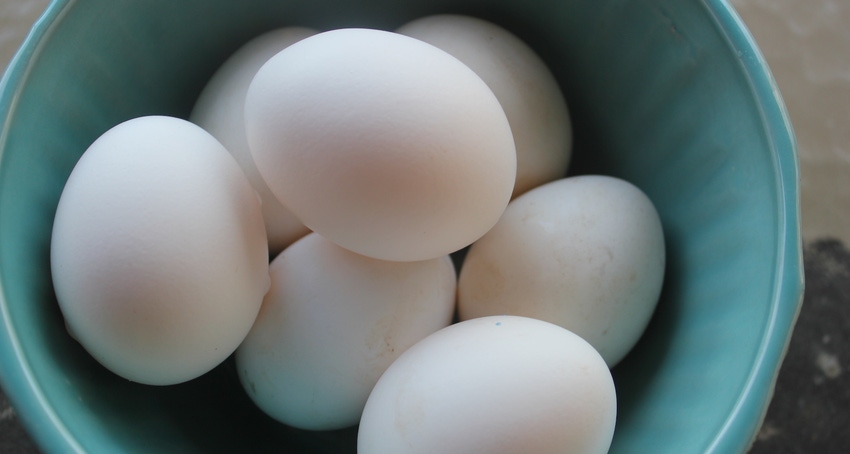 Eggs