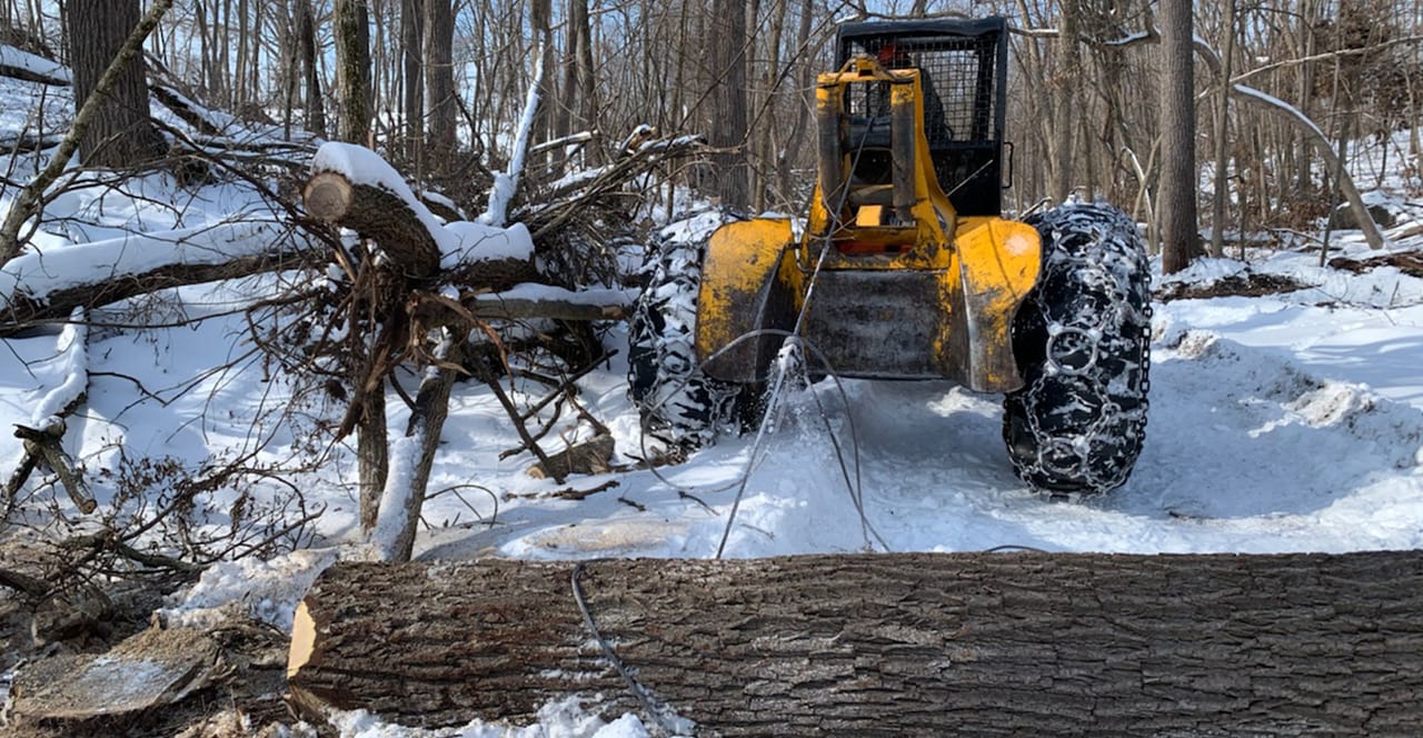 Removing Log To log or not to log?
