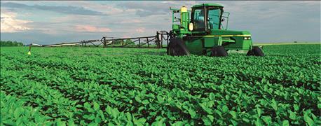 how_did_insecticide_soybean_aphids_work_1_636072173867470951.jpg