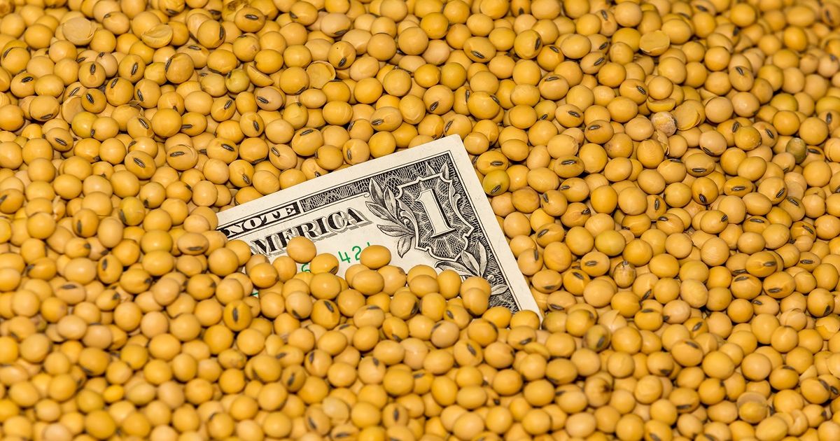 Shipping Prices Back to Normal, Just in Time for Soybean Shopping