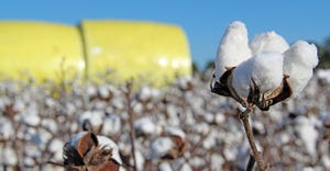 cotton-harvest-staff-dfp-6312-web.jpg